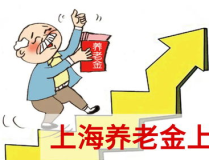 上海养老金上调公布,民生保障再升级，养老待遇全面提升