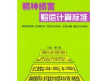 精神损害赔偿标准,全面解读赔偿细则与适用范围