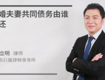 佛山离婚律师,专业法律服务，守护您的婚姻权益