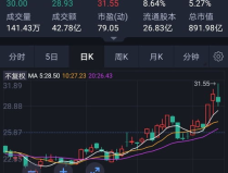 中环股份股票,光伏行业领军者的崛起之路