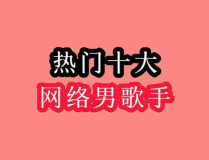 十大网络热门歌曲,十大热门歌曲盘点